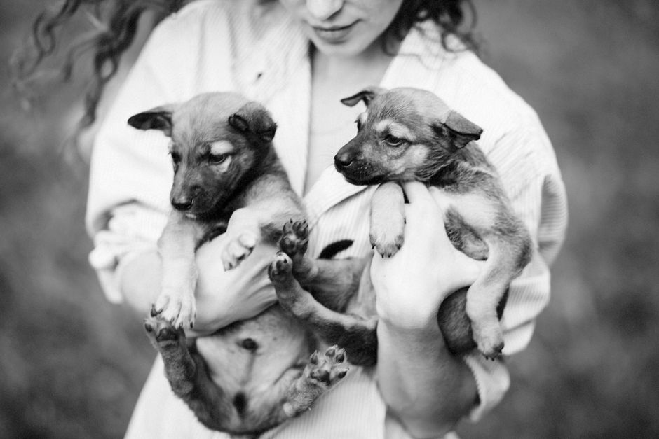 A woman gently holding two adorable puppies, captured in a heartfelt black and white photo.