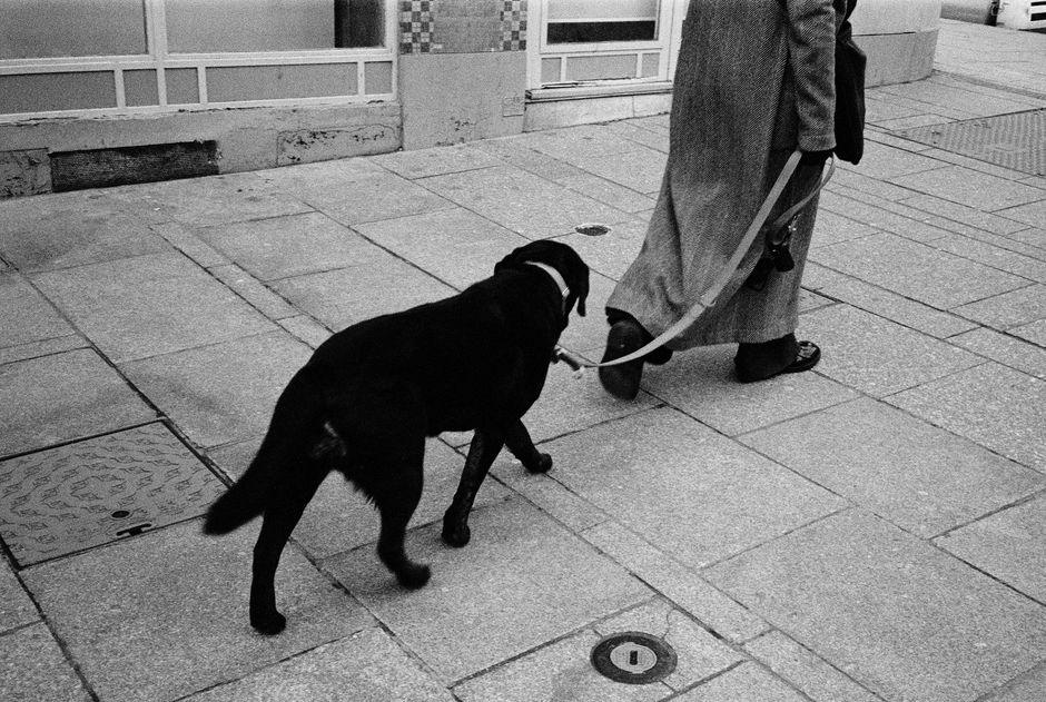 A black Labrador retriever walking on a street in France, led by an adult owner.